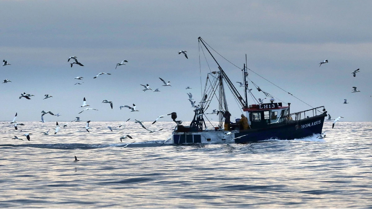 fishing boat at sea